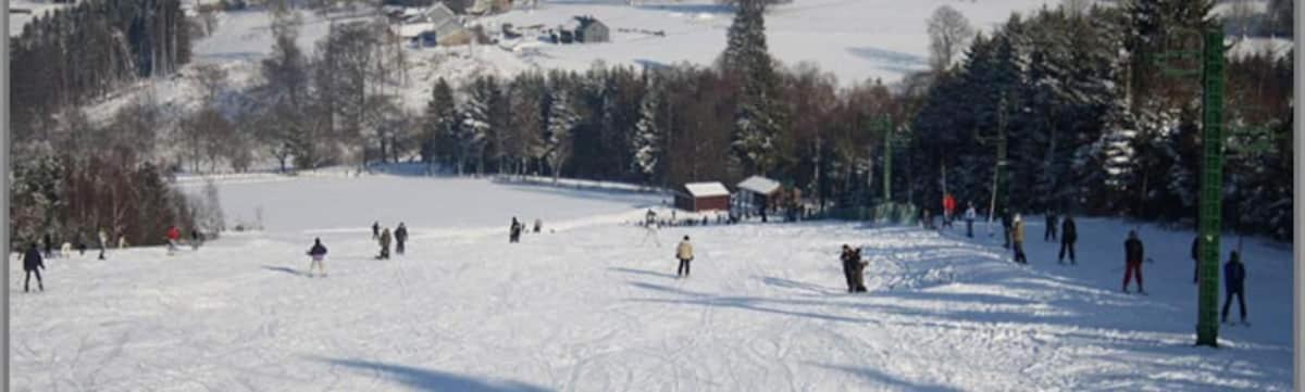 Residence "Le Samiot" Vielsalm Eksteriør billede